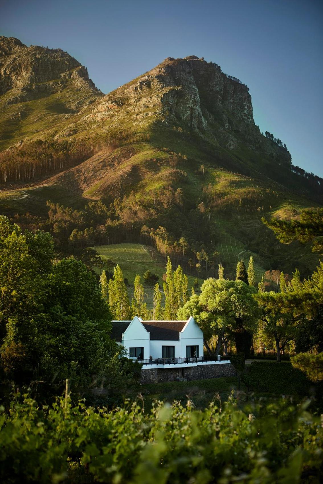 MolenVliet Vineyards Otel Stellenbosch Dış mekan fotoğraf