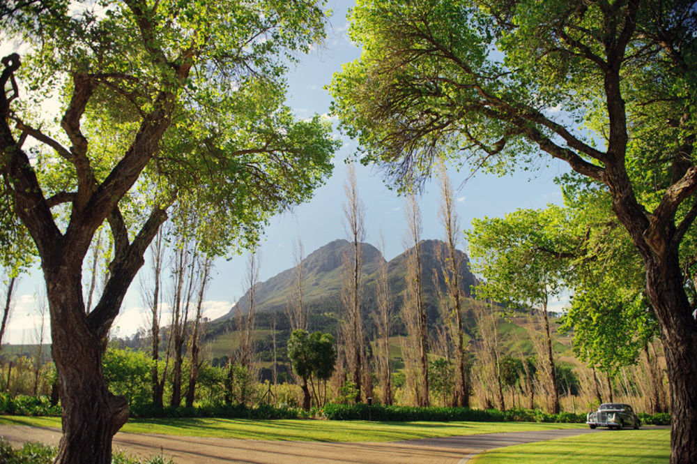 MolenVliet Vineyards Otel Stellenbosch Dış mekan fotoğraf